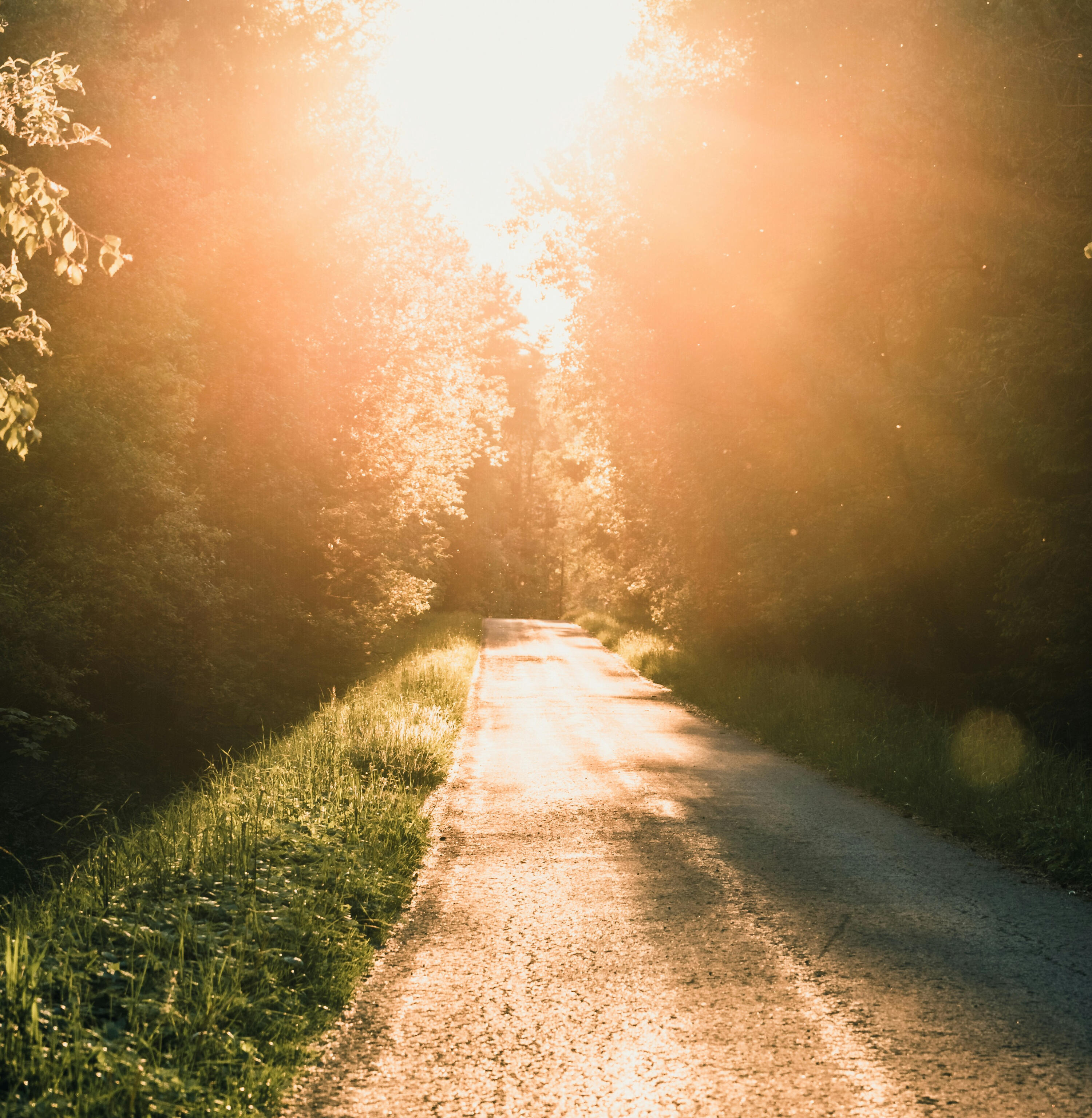 Sunrise South West Florida